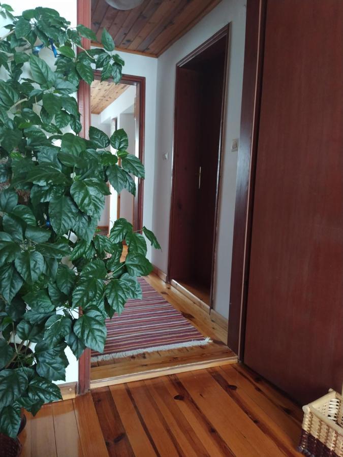 Apartmani Milic Sirogojno Exteriör bild
