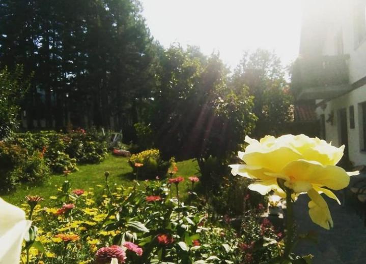 Apartmani Milic Sirogojno Exteriör bild