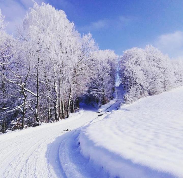 Apartmani Milic Sirogojno Exteriör bild