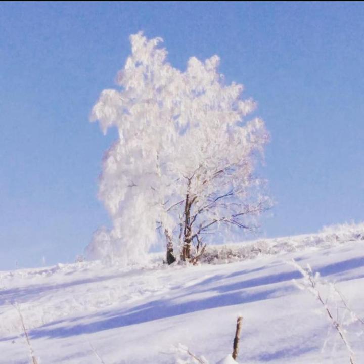 Apartmani Milic Sirogojno Exteriör bild