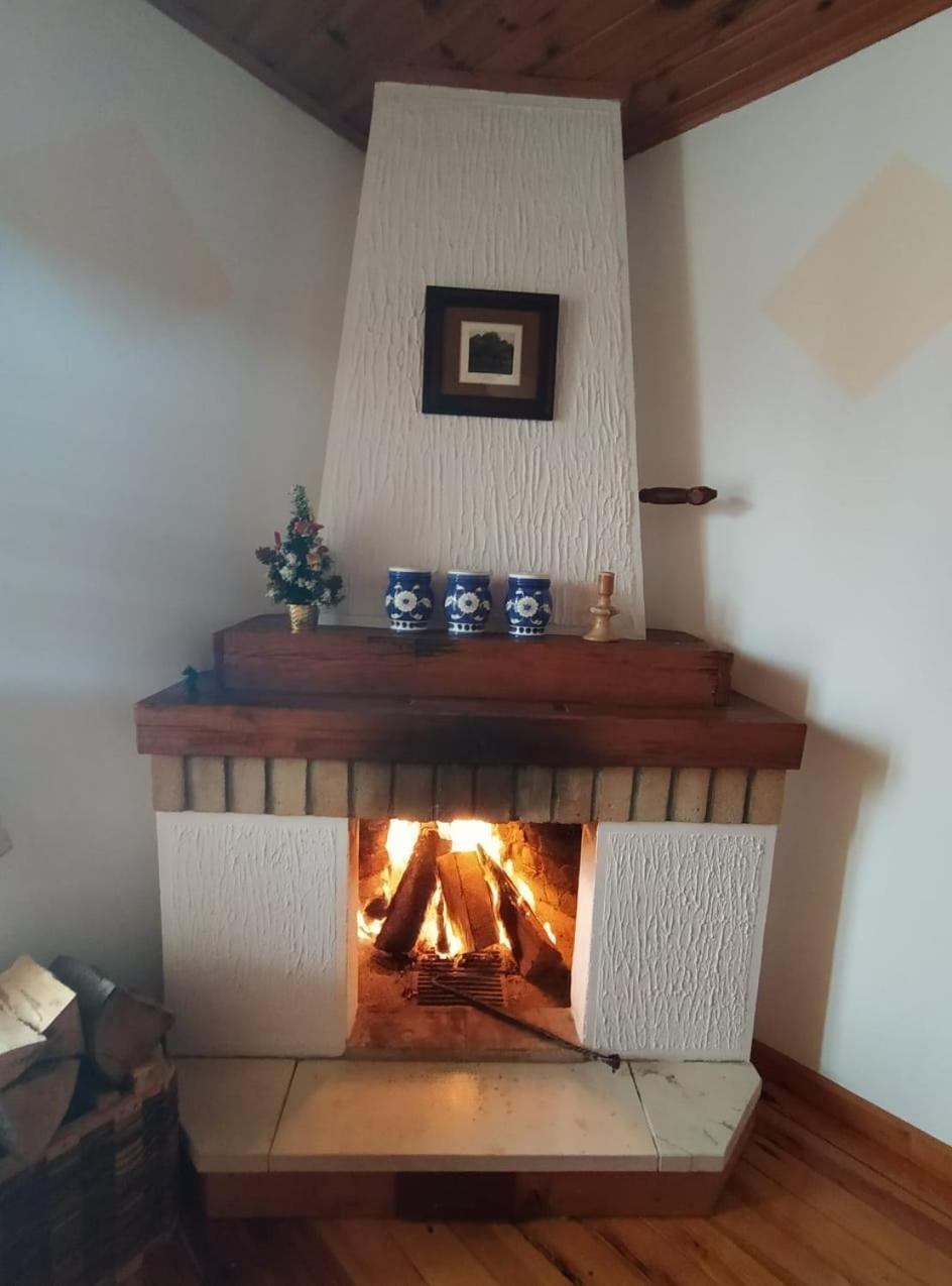 Apartmani Milic Sirogojno Rum bild