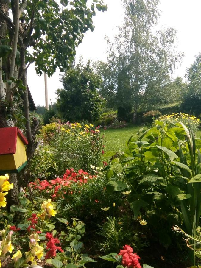 Apartmani Milic Sirogojno Exteriör bild